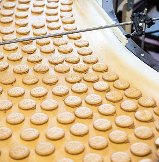Rows of cookies moving along a production conveyor