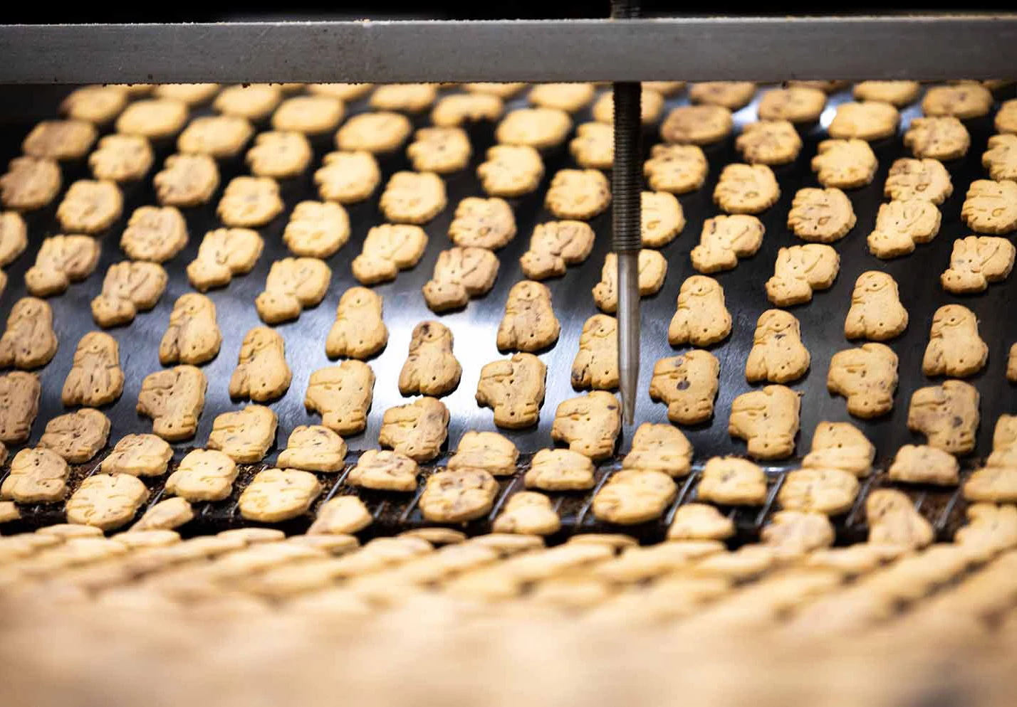 Illustrative baking line with shaped cookies